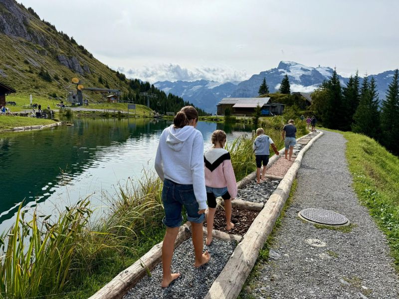 whatsapp image 2025 093 at6.34.56  