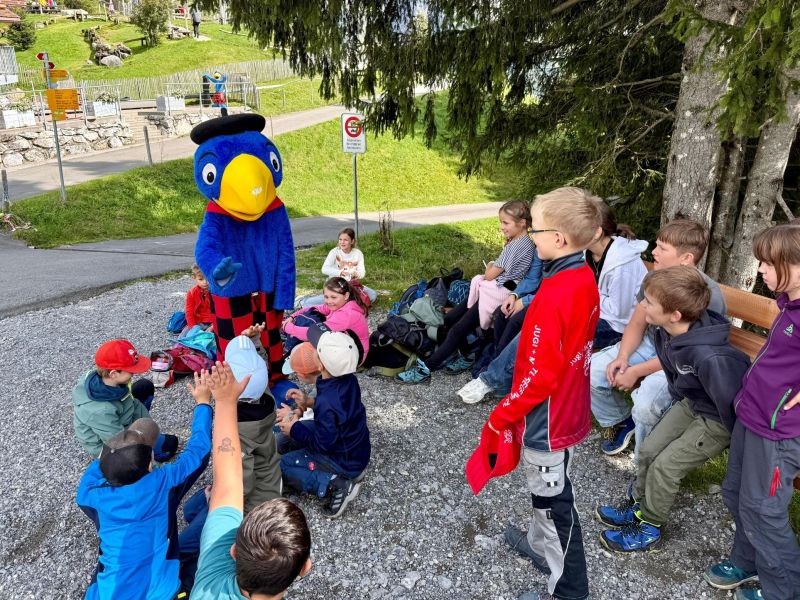 whatsapp image 2025 09 13 at 16.34.57  