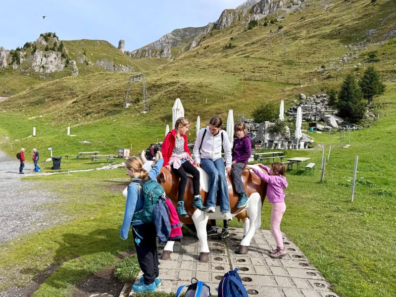 whatsapp image 2025 09 13 at 16.34.57  